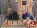 Skjult kamera * Sk�r mand vil have taget billede ved gorillaburet...