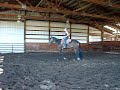 2006 AQHA IF mare by Willy Be Invited