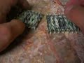 Cool Fold Dollar Origami