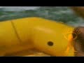 Rafting Tarom Rafting Tarom