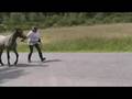 videos de Dust Cloud's Easter Surprize