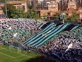 SeNTiMieNTo VeRDiBLaNCo SeNTiMieNTo VeRDiBLaNCo