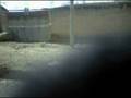 videos de ondores paseo
