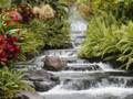 videos de In Paradise by Otis Williams & The Charms