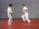 Knife Defenses #5