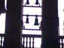 la catedral de la asunci�n de coria es un templo de los siglos xvi y xviii que reemplaz� a otra iglesia anterior del que s�lo queda su claustro del siglo xiv.

tiene este primitivo claustro plenog�tico vanos de arco apuntado, cuyas jambas presentaban haces de columnitas, siendo los nervios de la b�veda son de crucer�a.

la iglesia actual, es sin embargo un magn�fico templo que entronca el g�tico final y el renacimiento, con a�adidos barrocos, que se inicia en 1498 en tiempos del obispo pedro xim�nez de pr�xamo como iglesia de una amplia y solitaria nave cubierta por crucer�a estrellada compleja t�pica del g�tico decadente del siglo xvi.

la catedral de coria tiene dos portadas. la del muro septentrional es tardog�tica, con arquivoltas agudas flanqueadas por pin�culos flam�geros y es obra de mart�n de sol�rzano.

la puerta del perd�n (meridional) es plateresca. tiene dos entradas con arco carpanel enmarcadas por columnas renacentistas y por encima hay sendos frontones triangulares con relieves de la anunciaci�n y el nacimiento, la adoraci�n de los pastores, la epifan�a, san pedro y san pablo etc. por encima de la puerta se superpone un ventanal de arco apuntado pero estructura y decoraci�n renacentista. el autor de esta fachada fue pedro de ybarra.

la torre es barroca de gran anchura en relaci�n a su altura, por lo que parece algo rechoncha. fue dise�ada por manuel de larra y churriguera.
fotograf�a de vicente luengo pascual.
