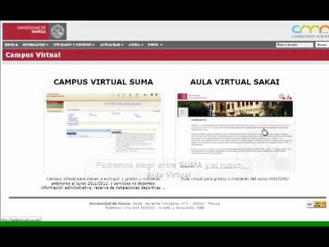 aula virtual umu}