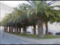 un paseo por agueda