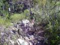 videos de Ingrid en la quebrada de los cuervos, luego de su liberación 3