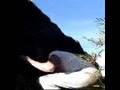 BOEUFF V4...BOULDER EN COLOMBIA,