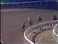 Landaluce - 1982 Hollywood Lassie Stakes + Extra Camera Views