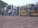rOdddeO