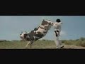 Matrix Cow Matrix Cow