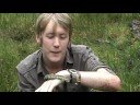 Britain in Cold Blood - The Quest part.4 - Snake in the Grass