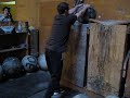 Doug Miller loading a 148 lb stone to a 50