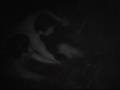 videos de Antiguo Centro Ceremonial de los Guerreros Jaguar Eternamente Jóvenes