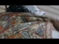 \"Hero\" Public Service Announcement (60 seconds)