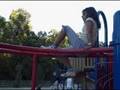monkey bar
