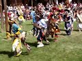 2008_USA_Cheyenne_parade-chicken_dance