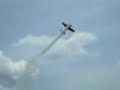 Joe Nall 2008 Demos Including 3D LAVI Fighters
