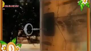 قرية فرعم_قضاء صفد_فلسطين