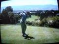 Brandt Jobe's Swing