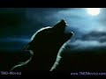 Animal We Have Become Animal We Have Become