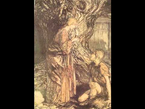 Richard Wagner - Die Walküre - Der Ring des Nibelungen - act 1^ part 1