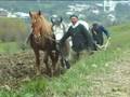 videos de Viata si paste in Muramares di Duccio Pugliese (2)