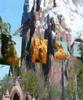 Wasserchefs in Florida - Animal Kingdom Wasserchefs in Florida - Animal Kingdom
