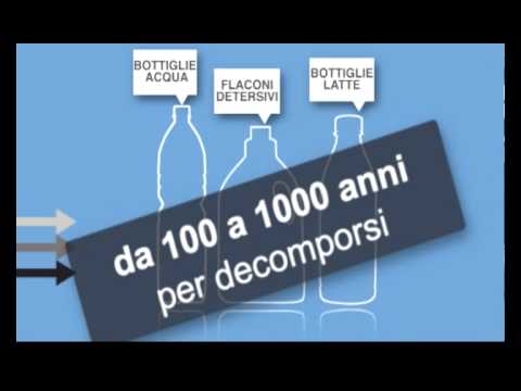 Immagine anteprima YouTube