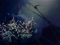 bambi-faline-our-song.html