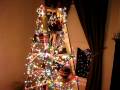 X-mas 2008 Festivus Ladder 2008-12-23 MVI 3166
