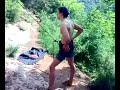 Leo sui rovi...