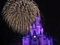 wishes fireworks show finale