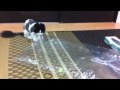 �����ѡ��ܡ��룲:YouTube������=14��
