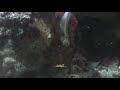 Spot Tailed Angler Fish