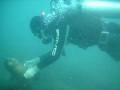 Argentina Video