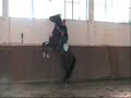 francesco vedani riaddestramento puledro