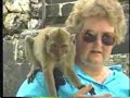 Monkey Business Monkey Business