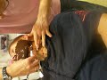 Chocolateshave