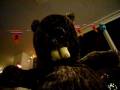 videos de Zoetermeer 6 SawRat