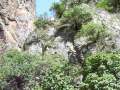 Saklikent Gorge