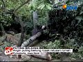 Purwakarta: Puting Beliung