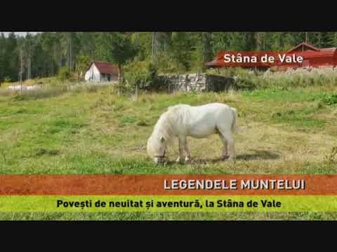 Poveşti de neuitat şi aventură, la Stâna de Vale