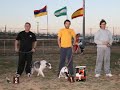 agility en los palacios