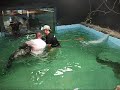The New HOT 89.9's very own Kenny B took a swim with a 500 pound aligator at Little Ray's Reptile Zoo. Check it out!
