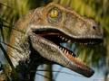 Re: Jurassic Ark (Before the Flood) -What Sarah Palin Believes