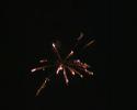 Item 213 16 Shot gold glittering williow