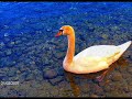 FIUME ADDA  A IMBERSAGO
